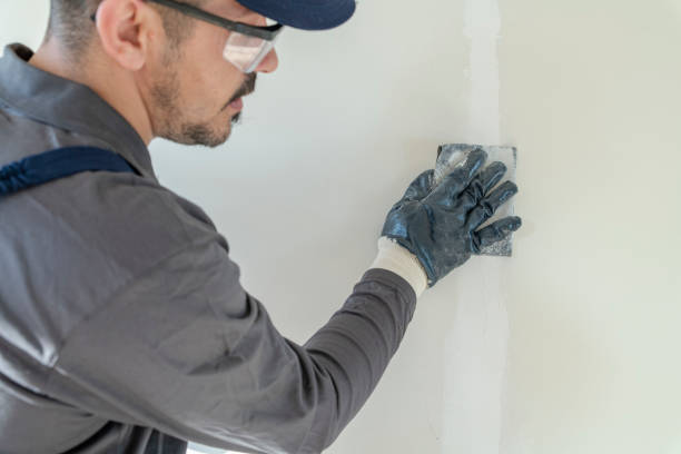 Best Fire-Damaged Drywall Repair  in Jefferson, IA