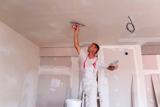 Best Drywall Crack Repair  in Jefferson, IA